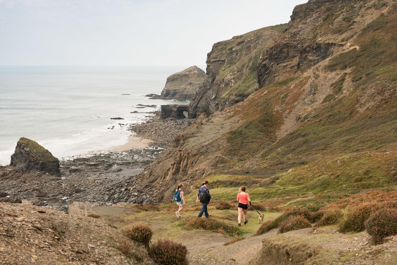 Trevigue Farm Guest House Crackington Haven Bagian luar foto
